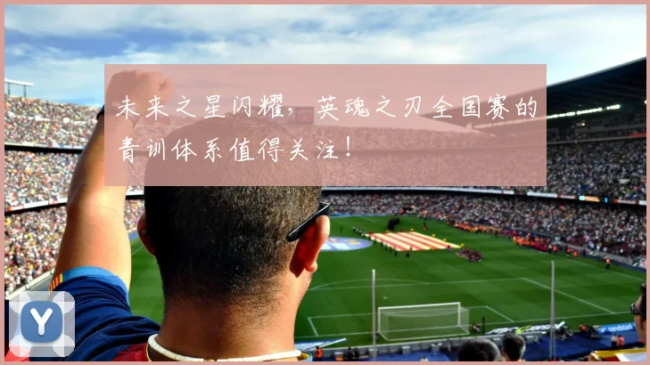 未来之星闪耀，英魂之刃全国赛的青训体系值得关注！